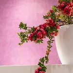 Schmelz Huette Mit Sauna Und Garten シャレー フラタッハ