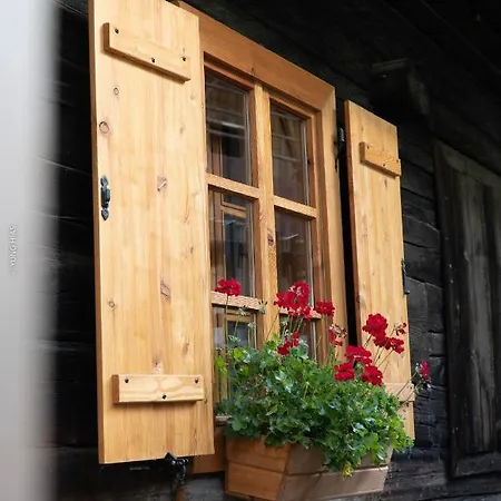 シャレー Schmelz Huette Mit Sauna Und Garten *