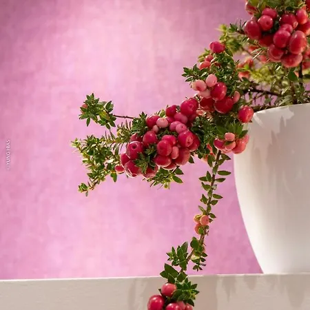 Schmelz Huette Mit Sauna Und Garten シャレー フラタッハ