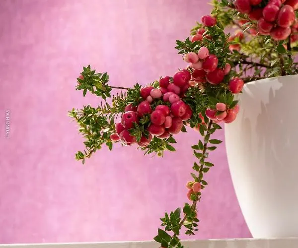 Schmelz Huette Mit Sauna Und Garten Chalet Flattach